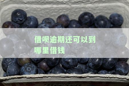 借呗逾期还可以到哪里借钱-借呗逾期还可以到哪里借钱呢
