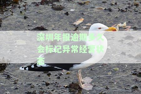 深圳年报逾期多久会标记异常经营状态-深圳年报逾期多久会标记异常经营状态呢