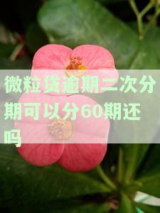 微粒贷逾期二次分期可分60期还，安全可靠吗？