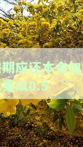 逾期应还本金加利息乘以0.5-逾期应还本金加利息乘以0.5是多少