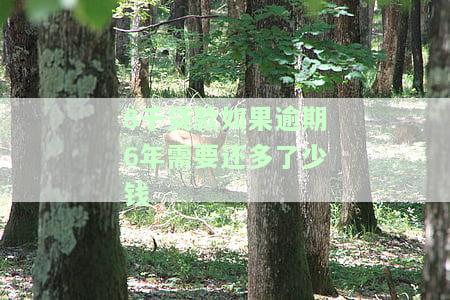 贷款8000逾期两年利息是多少？还款总额及可能的法律后果