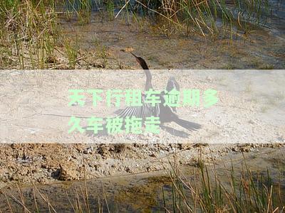 天下行租车逾期多久车会被拖走？逾期起诉会坐牢吗？