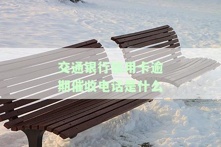 查询交通银行催收电话号码及联系方式