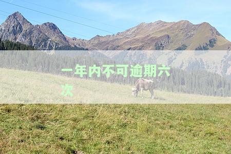 一年内逾期次数限制：贷款审批关键因素