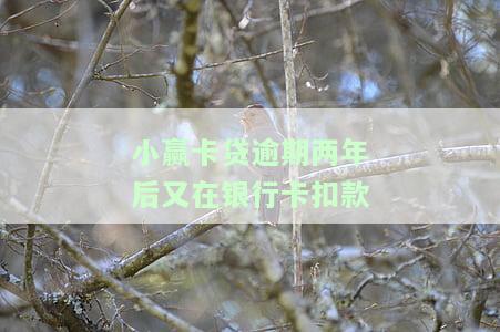 小赢卡贷逾期一年多，实在没钱还，上征信吗？现在如何解决催收问题？
