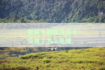现在我信用卡逾期未还：影响及解决办法
