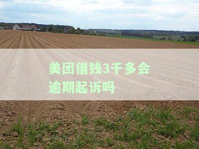 美团上借了3000不还：后果严重，或遭上门催收，是否影响征信？