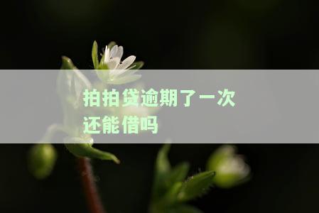拍拍贷逾期了一次还能借吗-拍拍贷逾期了一次还能借吗安全吗