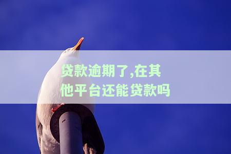 贷款逾期了,在其他平台还能贷款吗