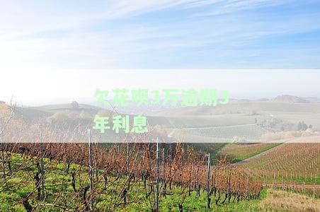 花呗逾期3万3年未还，多久还完才不会被起诉？