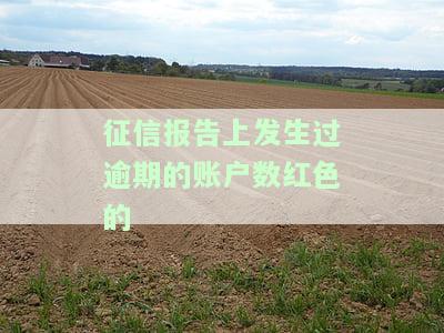征信上发生过逾期的账户显示红色：含义、影响及解决办法