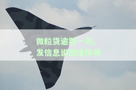 微粒贷逾期一天，发信息说额度停用：如何解决？