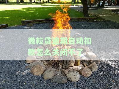 微粒贷逾期自动扣款无法关闭？解决方案大公开！