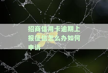 招商信用卡逾期上报征信怎么办如何申诉