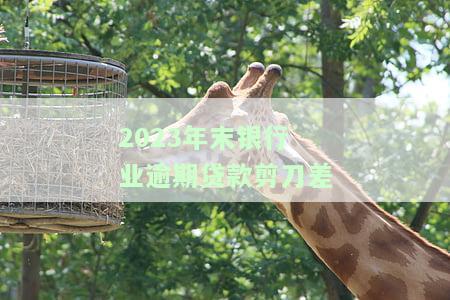 今年银行贷款逾期情况如何？逾期人数增多还是减少？有何解决办法？2020年逾期率如何？