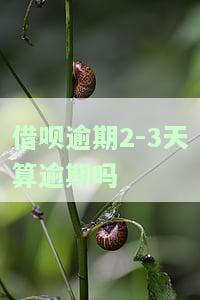 借呗逾期两三天会怎么样？影响及解决方法