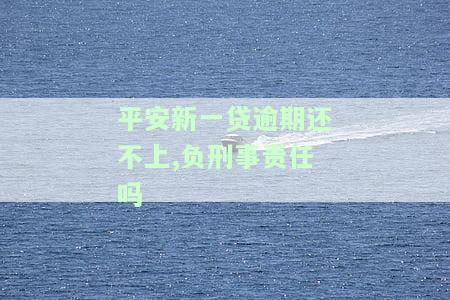 平安新一贷新规：逾期还款是否需负刑事责任？