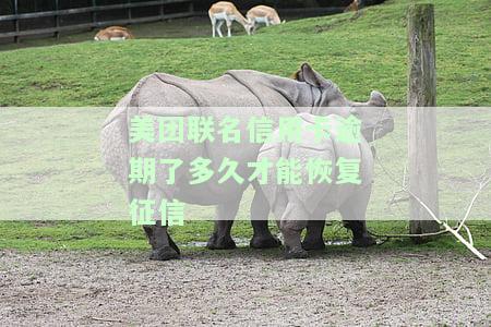 关于美团联名信用卡的规定、通知与常见问题全解答