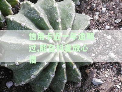 抖音放心借逾期多久上征信？延期还款如何协商？逾期处理方法全解析！
