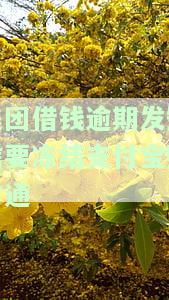 美团借钱逾期说要冻结资产微信支付宝，真的吗？会影响支付宝和银行卡吗？如何处理？