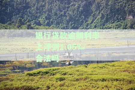 如何解决银行贷款逾期利息过高问题？