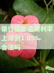 银行贷款逾期利率上浮到1.05‰合法吗-银行货款逾期利率