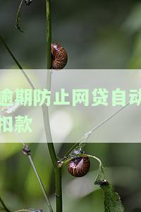如何防止网贷逾期时银行卡被自动扣款？