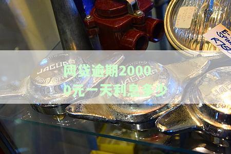 网贷逾期2万金额算大额吗？会判刑吗？