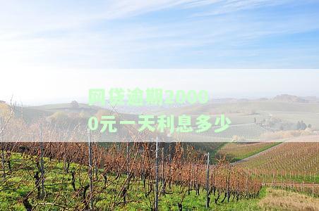网贷逾期两万：是否会被告、立案、坐牢？上门催收可能性大吗？