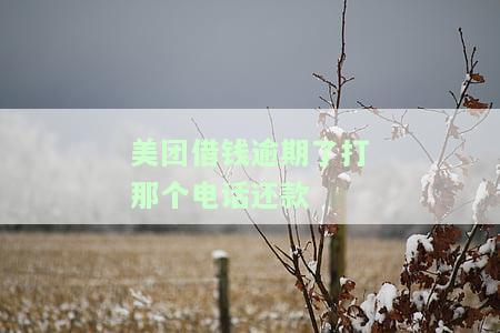 美团借钱逾期后应拨打哪个电话还款？安全吗？