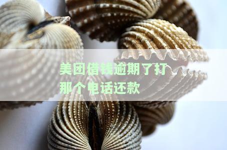 美团借钱逾期多久会被电话催收?