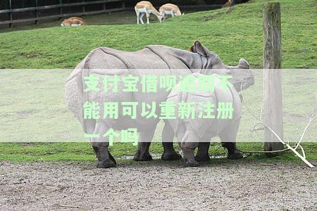 支付宝借呗逾期后还款能否再次申请贷款？安全吗？知乎答案解析