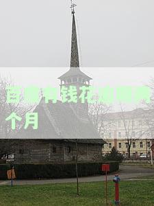 有钱花逾期两个月什么后果？可能面临诉讼和强制还款！