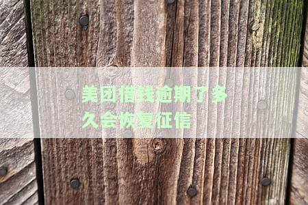 美团借钱逾期后多久能恢复征信报告?