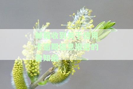 邮箱收到关于信用卡逾期信息报送的告知函：真的吗？该如何处理？已寄送到家里和工作地