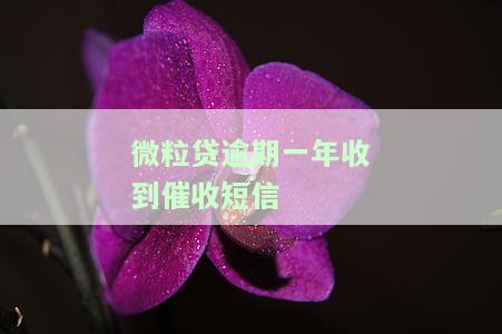 微粒贷逾期四个月疯狂发短信：真实催收手段还是谣言？