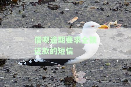 借呗逾期要求全额还款的短信通知：内容、处理方法与还款困扰全解析