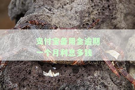 支付宝备用金逾期费用计算方法及收费标准全解析