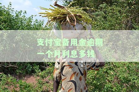 支付宝备用金逾期利息：计算方法、是否被起诉及合法性解析