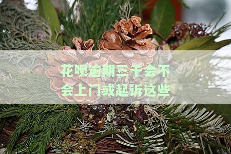 花呗逾期三千：是否会上门或起诉？了解相关法律依据与规定