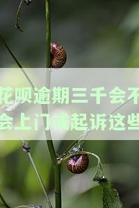 花呗逾期三千多会被起诉吗？答案及解决方法全在这里！