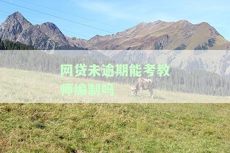网贷未逾期能考教师编制吗-网贷未逾期能考教师编制吗知乎