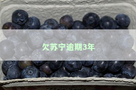 欠苏宁逾期3年了？解决方案在此！