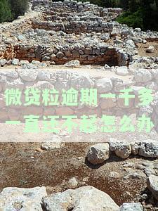 微粒贷逾期1500元35天，累计欠款达6000元，逾期时间长达180天以上