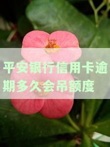 平安信用卡逾期：长期欠款的影响及解决方案