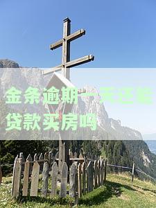 金条逾期一天会影响买房吗？详解其可能带来的后果及解决办法