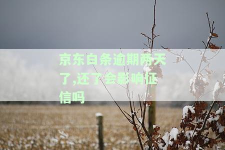 京东白条逾期两天会影响信用吗？