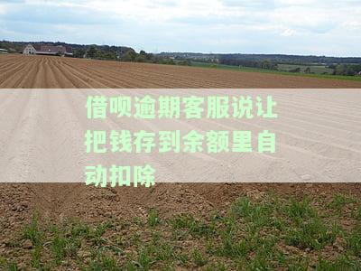 借呗逾期客服说让把钱存到余额里自动扣除