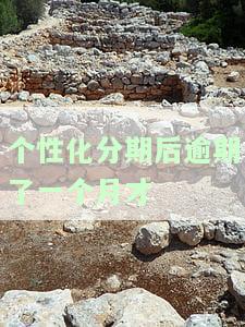 个性化分期逾期后能否再次申请？后续逾期会有什么后果？