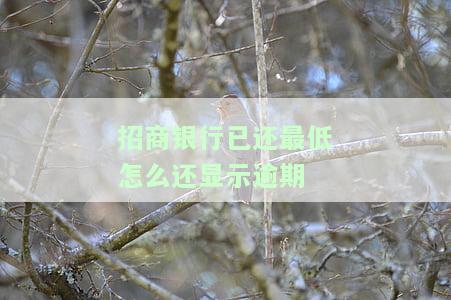 招行已还最低，如何查看剩余应还额度及本金？是否计算利息？